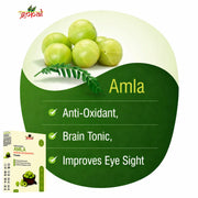 Amla Powder Hair Care - 200gm