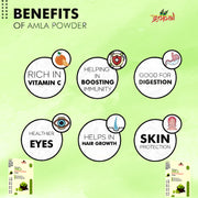 Amla Powder Hair Care - 200gm