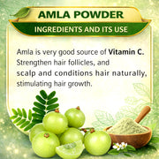Amla Powder - 100gm