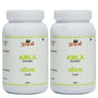 Amla Powder - 100gm