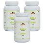 Amla Powder - 100gm
