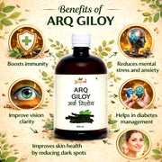 Arq Giloy - 500ml