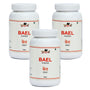 Bael (Wood Apple) Powder - 100gm