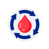 Supports Blood Circulation to the Head