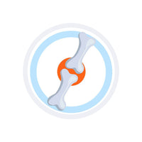 Bone Development