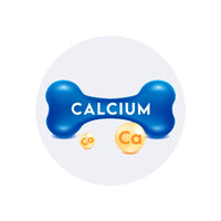 Promotes Calcium Absorption