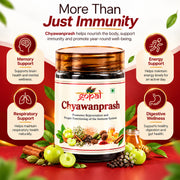 Chyawanprash - 250gm