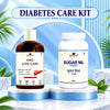 Complete Diabetes Care Kit