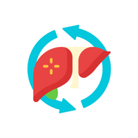 Metabolism