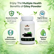 Giloy Powder - 100gm