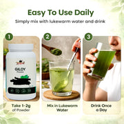 Giloy Powder - 100gm