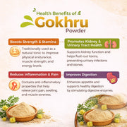 Gokshura Powder - 100gm