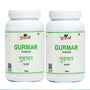 Gurmar Powder - 100gm