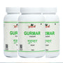 Gurmar Powder - 100gm