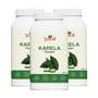 Karela Powder - 100gm