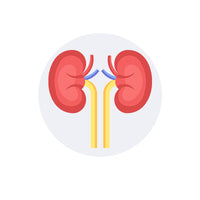 All Types of Kidney-Related Problems