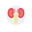Helpful in all types of kidney-related problems