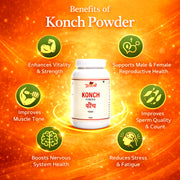 Konch (Sudh) Powder - 100gm