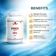 Konch (Sudh) Powder - 100gm