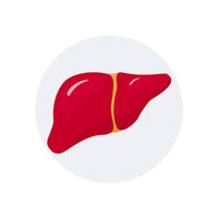 Help in Liver Fibrosis