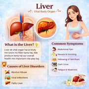 Complete Liver Care Kit