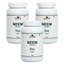 Neem Powder - 100gm