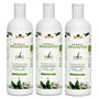 Herbal Shampoo - 500ml