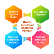 Shatavari Powder - 100gm