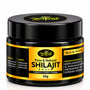 Shilajit Resin (Pack of 2) - 20gm
