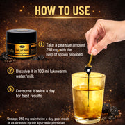 Shilajit Resin - 20gm