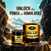 Shilajit Resin (Pack of 2) - 20gm