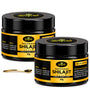 Shilajit Resin (Pack of 2) - 20gm