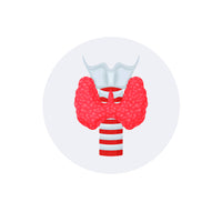 Thyroid-Related Menstrual Problems