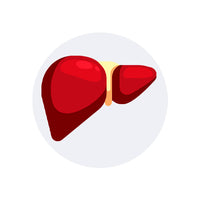 Helps Maintain Healthy Liver Function
