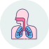 Lungs